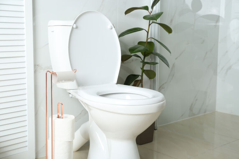 5 Signs Your Septic System is Failing (And What to Do About It)