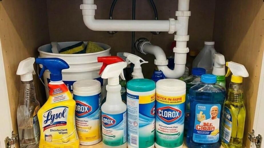 Kitchen cabinet filled with cleaning products.