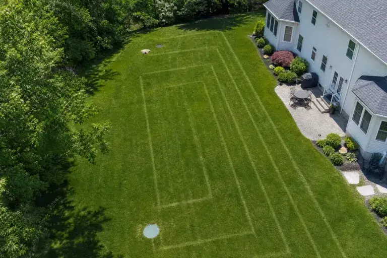 Can Septic Tank Treatments Clean Your Drain Field Pipes