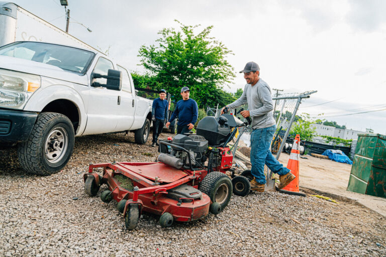 Landscaping Around Your Septic System: Safe Plants vs. Dangerous Roots