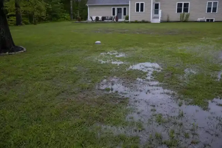 Wet, Mushy Spots in Your Yard? Why Your Drain Field Might Be Failing